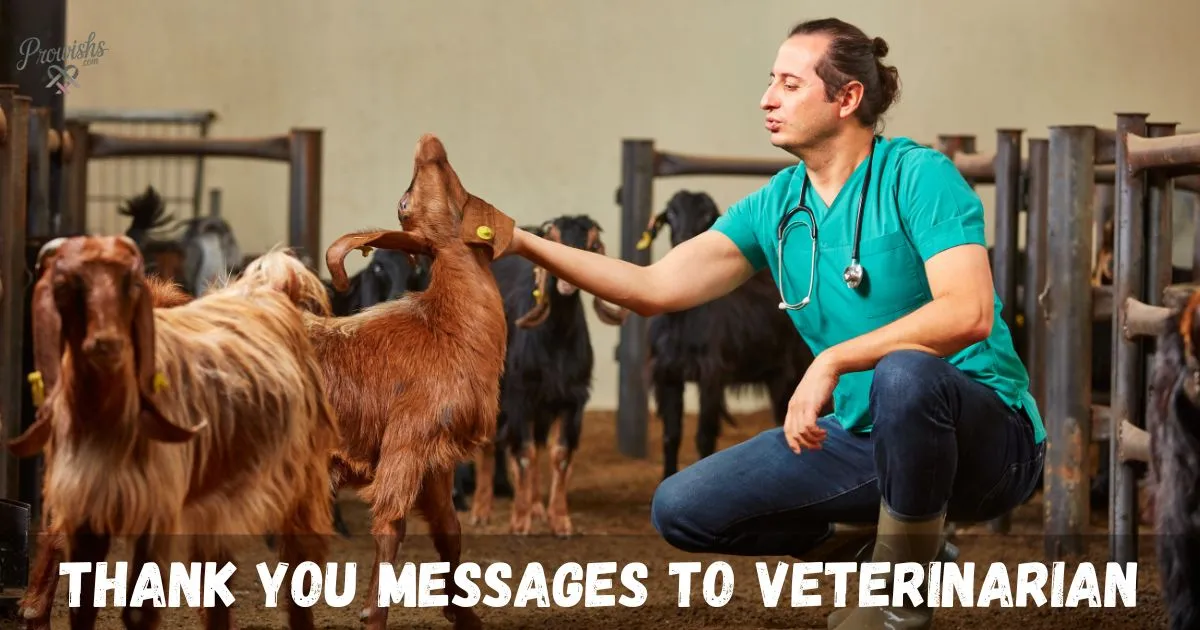 Messages To Veterinarian
